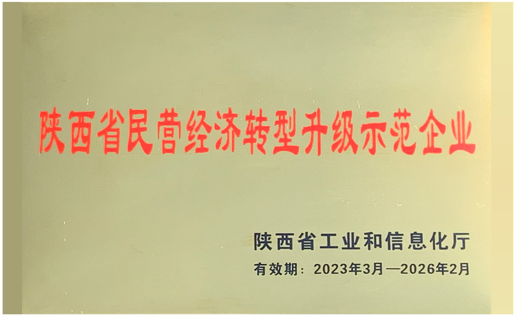 陜西省民營經(jīng)濟(jì)轉(zhuǎn)型升級(jí)示范企業(yè).png